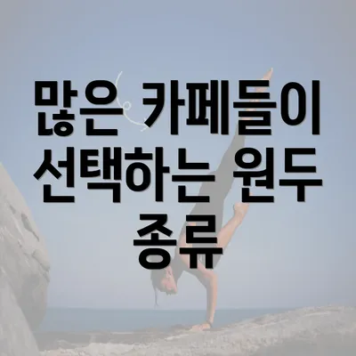 많은 카페들이 선택하는 원두 종류