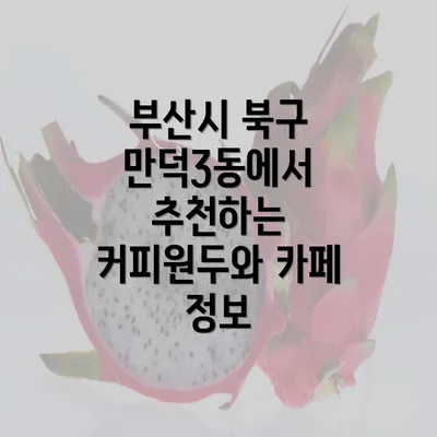 부산시 북구 만덕3동에서 추천하는 커피원두와 카페 정보