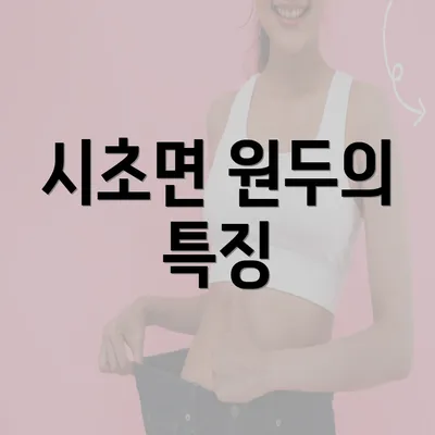 시초면 원두의 특징