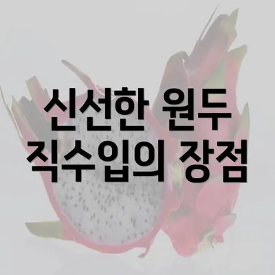 신선한 원두 직수입의 장점