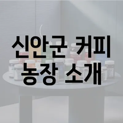 신안군 커피 농장 소개