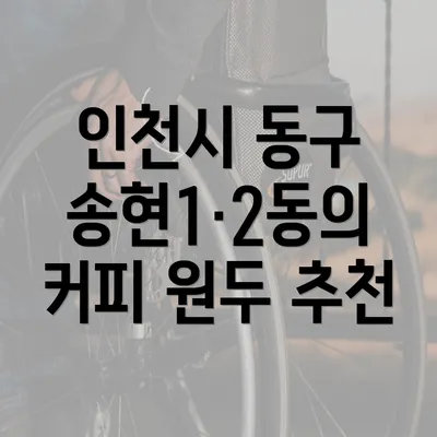 인천시 동구 송현1·2동의 커피 원두 추천