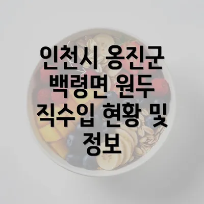 인천시 옹진군 백령면 원두 직수입 현황 및 정보