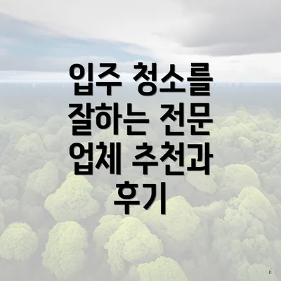 입주 청소를 잘하는 전문 업체 추천과 후기