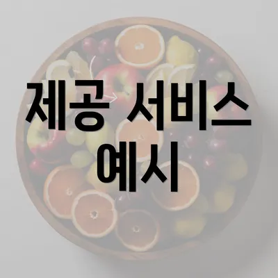 제공 서비스 예시