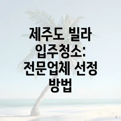 제주도 빌라 입주청소: 전문업체 선정 방법