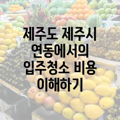 제주도 제주시 연동에서의 입주청소 비용 이해하기