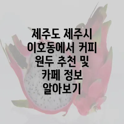 제주도 제주시 이호동에서 커피 원두 추천 및 카페 정보 알아보기