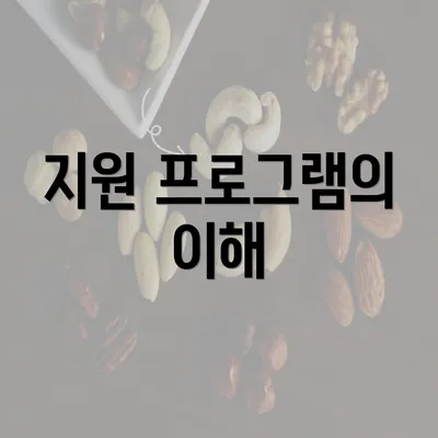 지원 프로그램의 이해