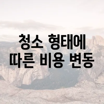 청소 형태에 따른 비용 변동