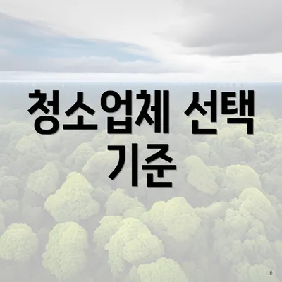 청소업체 선택 기준