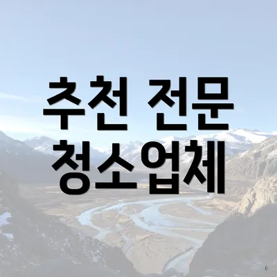 추천 전문 청소업체