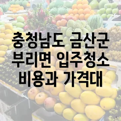 충청남도 금산군 부리면 입주청소 비용과 가격대