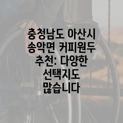 충청남도 아산시 송악면 커피원두 추천: 다양한 선택지도 많습니다