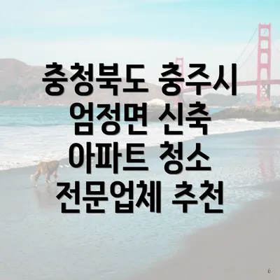 충청북도 충주시 엄정면 신축 아파트 청소 전문업체 추천