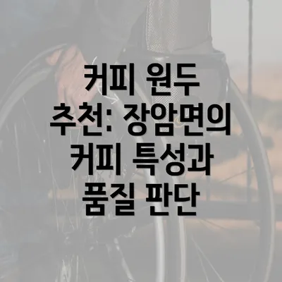 커피 원두 추천: 장암면의 커피 특성과 품질 판단