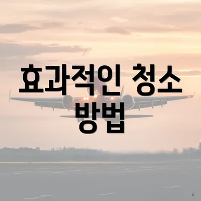 효과적인 청소 방법