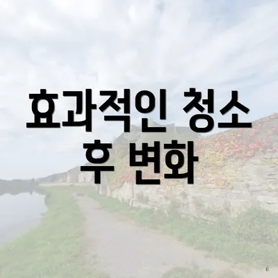 효과적인 청소 후 변화