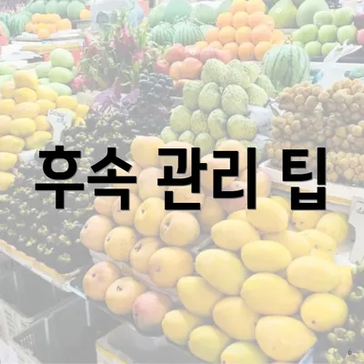 후속 관리 팁