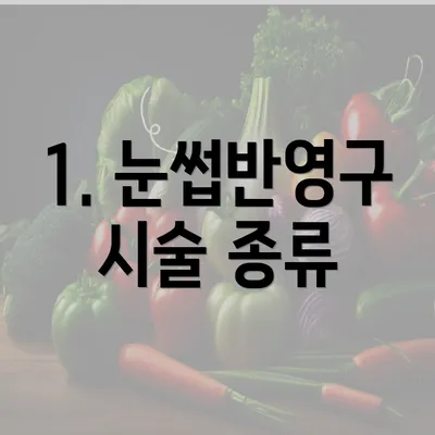 1. 눈썹반영구 시술 종류