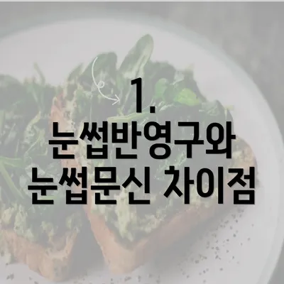 1. 눈썹반영구와 눈썹문신 차이점