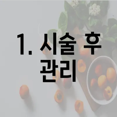 1. 시술 후 관리