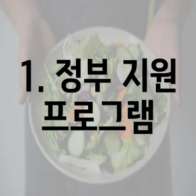 1. 정부 지원 프로그램