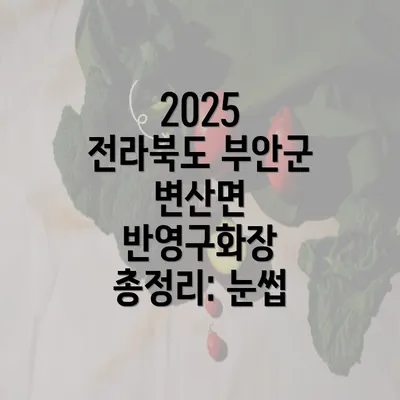 2025 전라북도 부안군 변산면 반영구화장 총정리: 눈썹