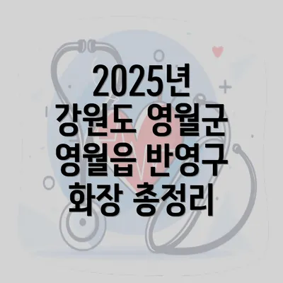 2025년 강원도 영월군 영월읍 반영구 화장 총정리