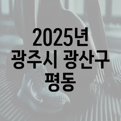 2025년 광주시 광산구 평동