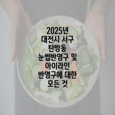 2025년 대전시 서구 탄방동 눈썹반영구 및 아이라인 반영구에 대한 모든 것