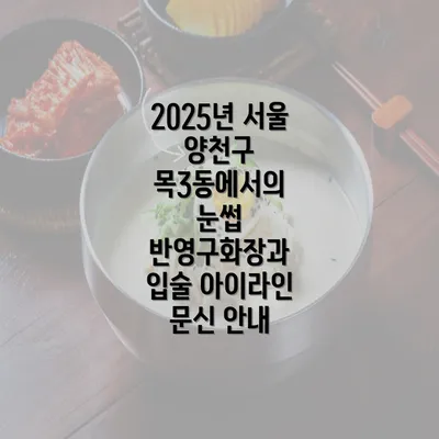 2025년 서울 양천구 목3동에서의 눈썹 반영구화장과 입술 아이라인 문신 안내