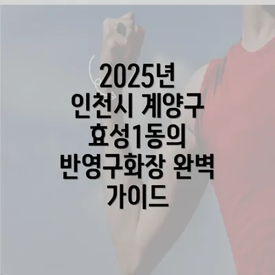 2025년 인천시 계양구 효성1동의 반영구화장 완벽 가이드