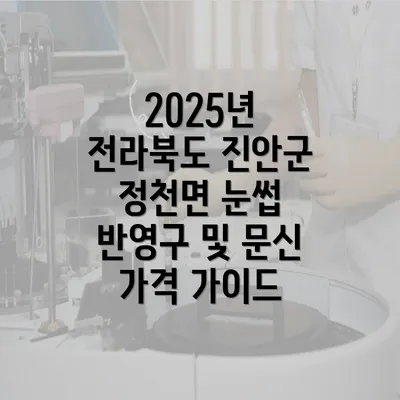 2025년 전라북도 진안군 정천면 눈썹 반영구 및 문신 가격 가이드