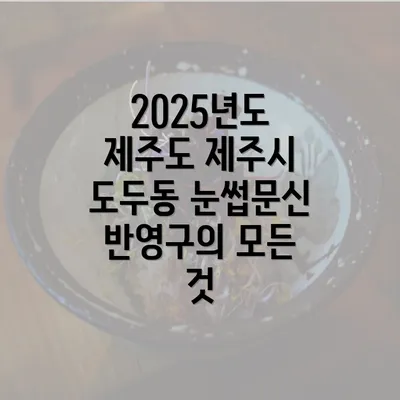 2025년도 제주도 제주시 도두동 눈썹문신 반영구의 모든 것