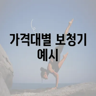 가격대별 보청기 예시