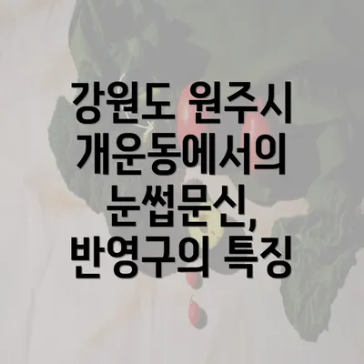 강원도 원주시 개운동에서의 눈썹문신, 반영구의 특징