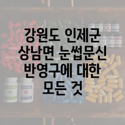 강원도 인제군 상남면 눈썹문신 반영구에 대한 모든 것