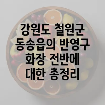 강원도 철원군 동송읍의 반영구 화장 전반에 대한 총정리