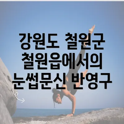 강원도 철원군 철원읍에서의 눈썹문신 반영구