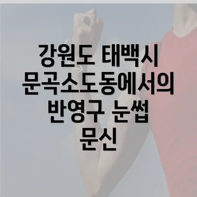 강원도 태백시 문곡소도동에서의 반영구 눈썹 문신