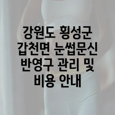 강원도 횡성군 갑천면 눈썹문신 반영구 관리 및 비용 안내