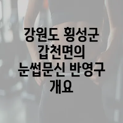 강원도 횡성군 갑천면의 눈썹문신 반영구 개요