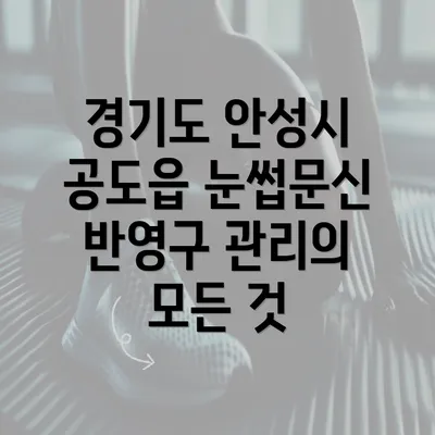 경기도 안성시 공도읍 눈썹문신 반영구 관리의 모든 것