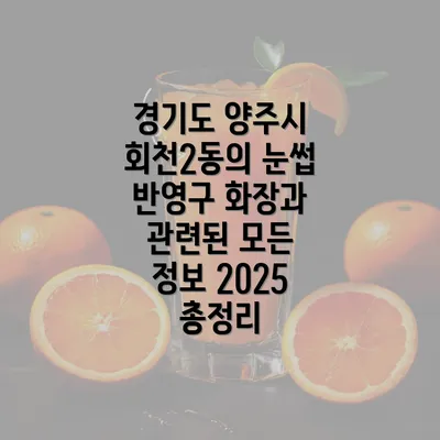 경기도 양주시 회천2동의 눈썹 반영구 화장과 관련된 모든 정보 2025 총정리