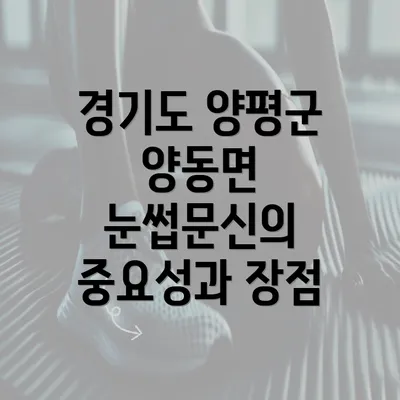 경기도 양평군 양동면 눈썹문신의 중요성과 장점