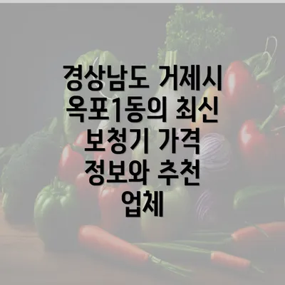 경상남도 거제시 옥포1동의 최신 보청기 가격 정보와 추천 업체