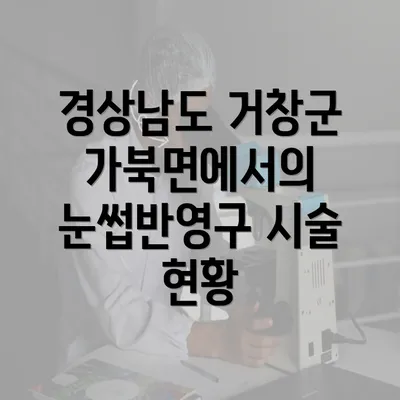 경상남도 거창군 가북면에서의 눈썹반영구 시술 현황