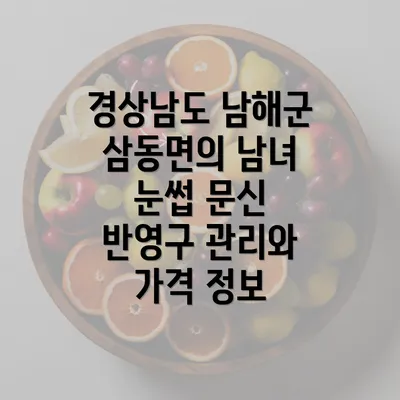 경상남도 남해군 삼동면의 남녀 눈썹 문신 반영구 관리와 가격 정보