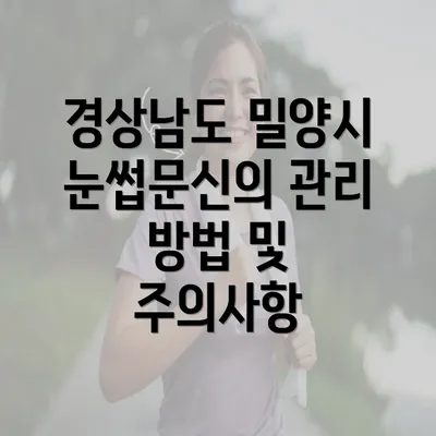 경상남도 밀양시 눈썹문신의 관리 방법 및 주의사항